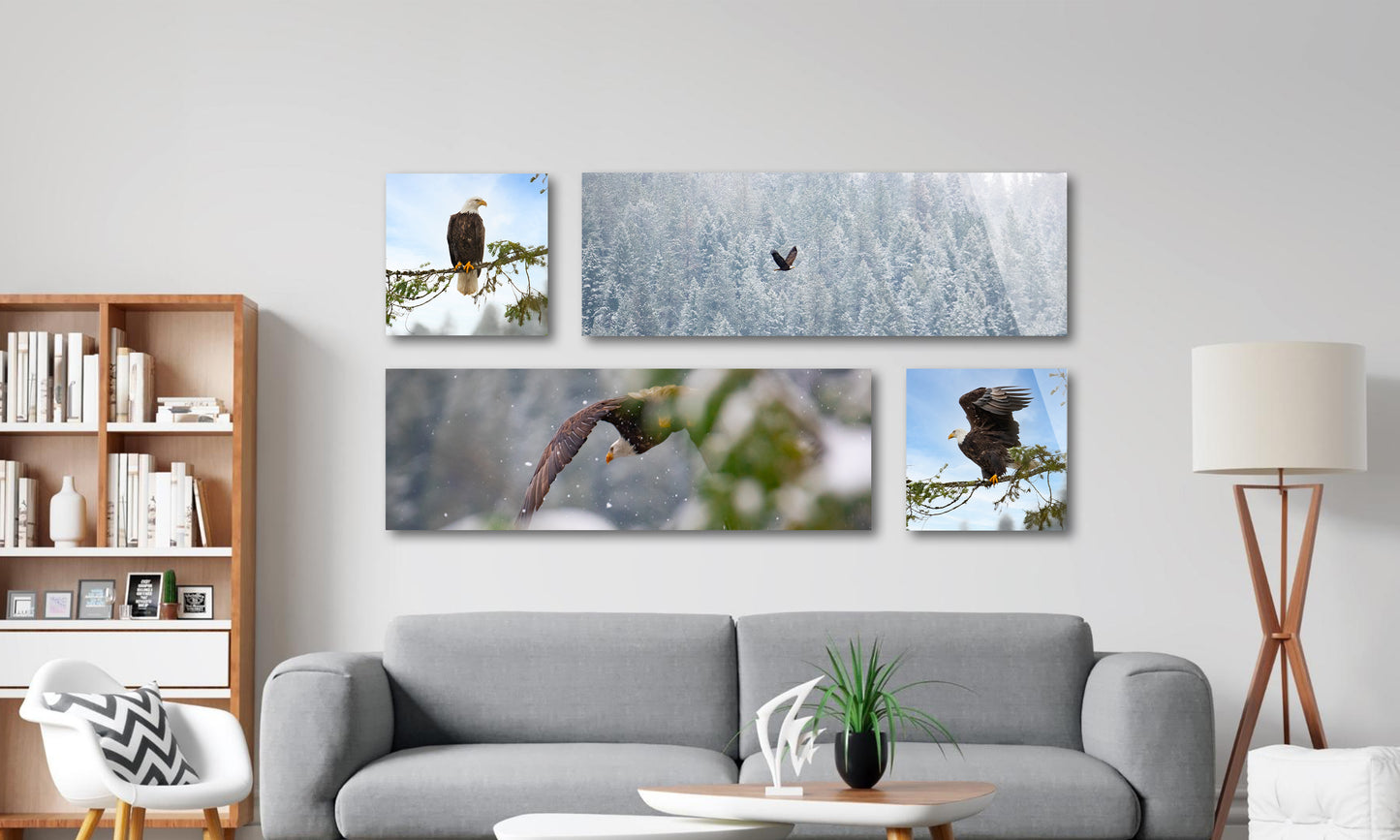 Eagles Cluster