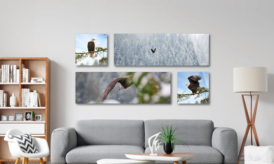 Eagles Cluster